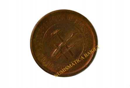 C.D.C.M. PUIGCERDANESA