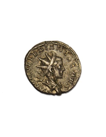 SALONINO, 258-260 d.C. Antoniniano