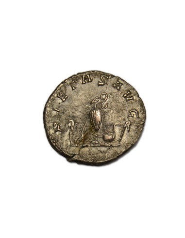SALONINO, 258-260 d.C. Antoniniano