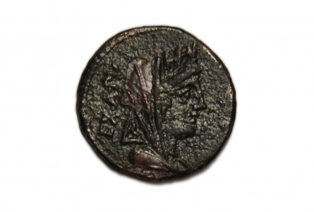 FABIA. denario 102 a J.C.