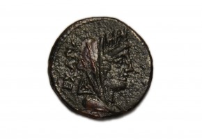FABIA. denario 102 a J.C.