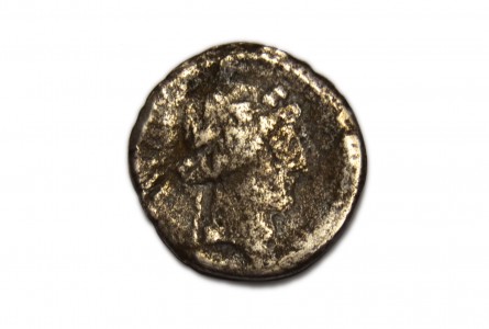 VIBIA. denario 39 a J.C.