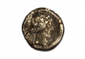 VIBIA. denario 39 a J.C.