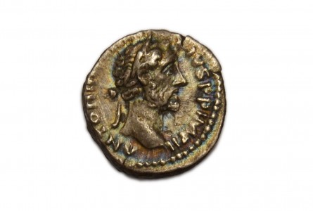 ANTONINO PIO, 155-156 d.C. Denario 