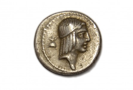 CALPURNIA. denario 64 a J.C.