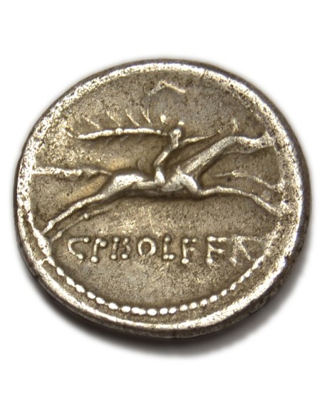 CALPURNIA. denario 64 a J.C.
