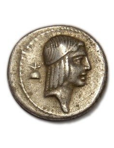CALPURNIA. denario 64 a J.C.