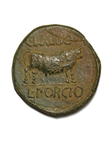 COLONIA LEPIDA - AS KELSE