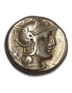 MARCIA - Denario