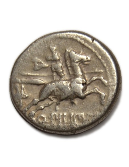 MARCIA - Denario