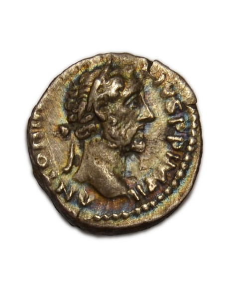 ANTONINO PIO - Denario