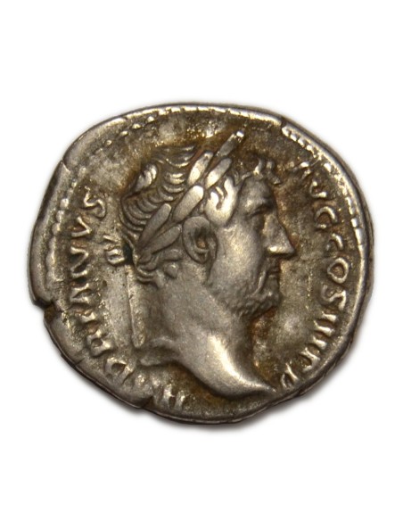 ADRIANO - Denario