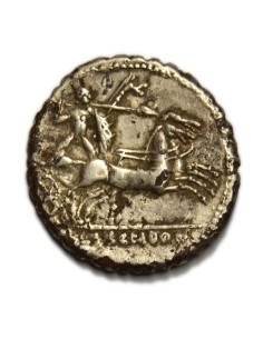 COSCONIA - Denario 2