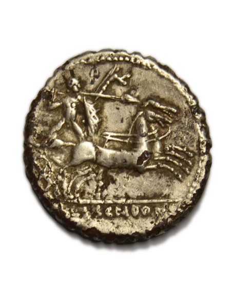 COSCONIA - Denario