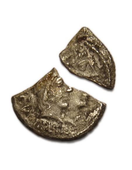 CORDIA - Denario