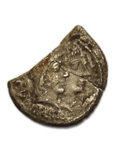 CORDIA - Denario