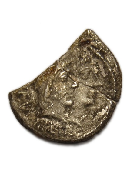 CORDIA - Denario