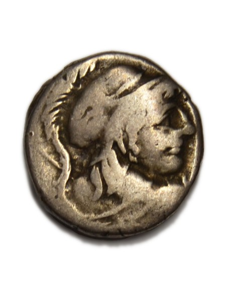 CORNELIA - Denario