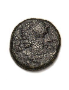 Arekoratas (Soria), As