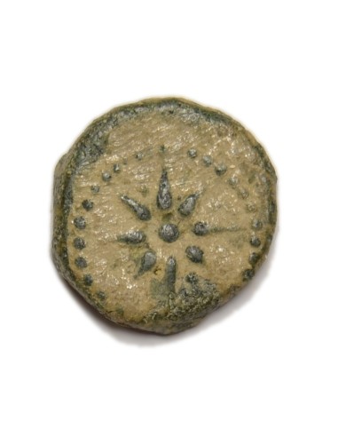 MALAKA CUADRANTE - MÁLAGA