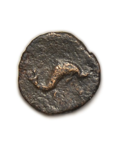 KESE SEXANTE - TARRAGONA