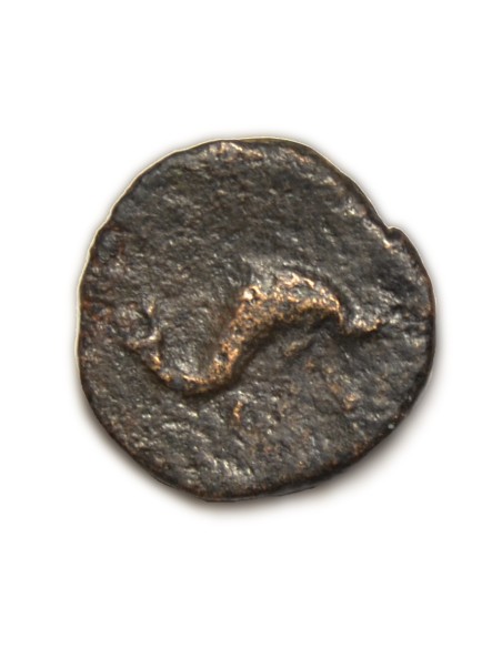 KESE SEXANTE - TARRAGONA