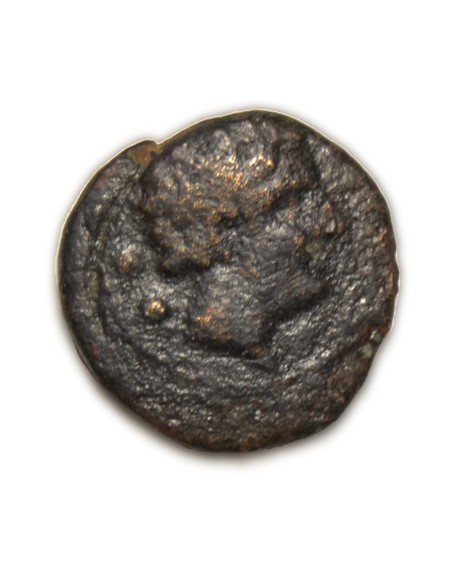 KESE SEXANTE - TARRAGONA