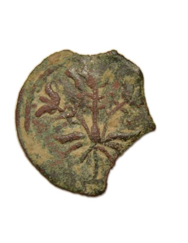 BELLPUIG (LLEIDA) - ARDIT