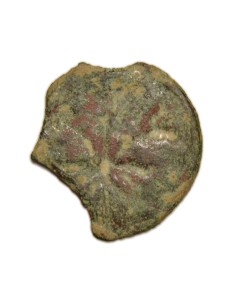 BELLPUIG (LLEIDA) - ARDIT 2