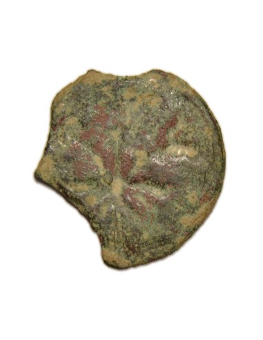 BELLPUIG (LLEIDA) - ARDIT