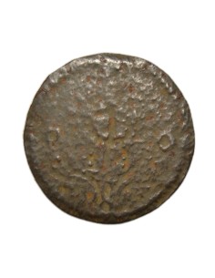 OLOT (GIRONA) - PELLOFA 2