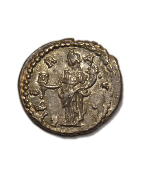 SEPTIMIO SEVERO - Denario