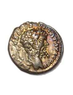 SEPTIMIO SEVERO - Denario