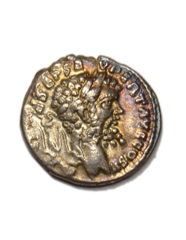 SEPTIMIO SEVERO - Denario