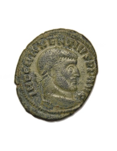MAJENCIO - Follis