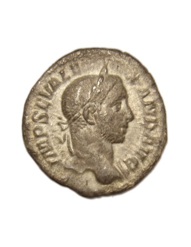 ALEJANDRO SEVERO - Denario