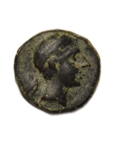 KASTILO-CASTULO - Semis