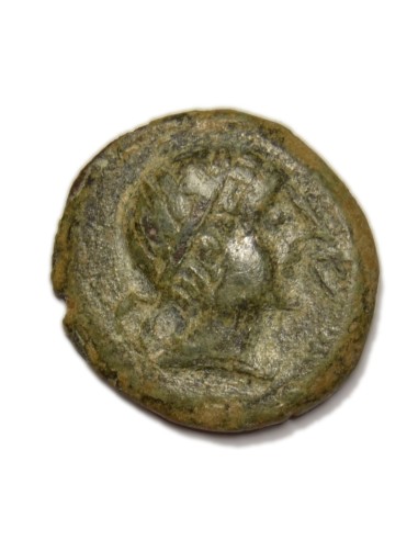 KASTILO-CASTULO - Semis