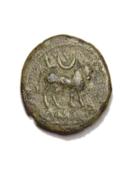 KASTILO-CASTULO - Semis