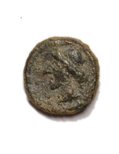 QART - HADASHT - CARTAGONOVA - cuarto de calco