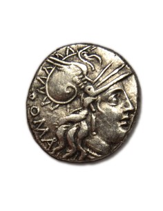 TULLIA - Denario