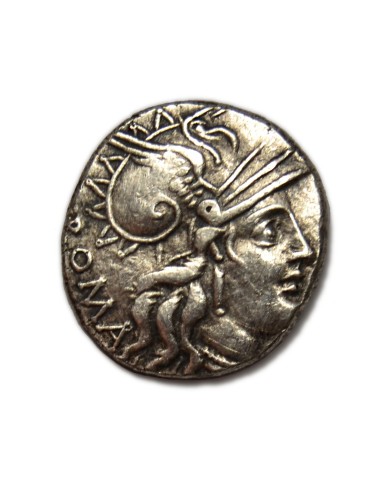 TULLIA - Denario