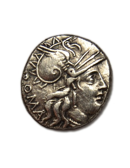 TULLIA - Denario