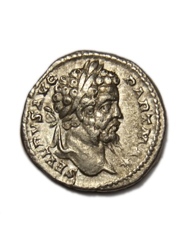 SEPTIMIO SEVERO - Denario