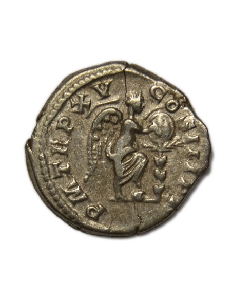 SEPTIMIO SEVERO - Denario