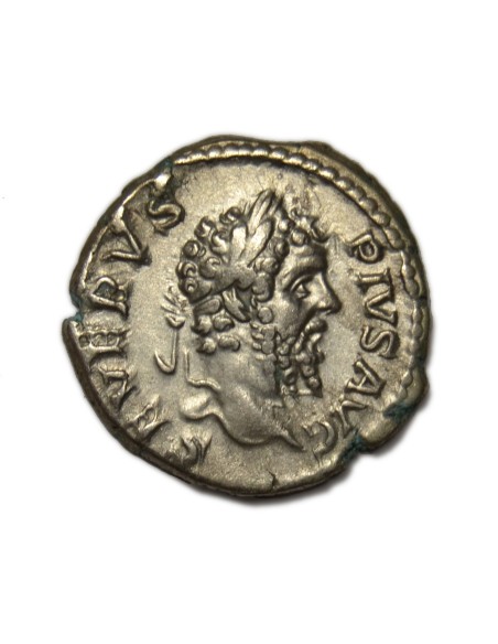 SEPTIMIO SEVERO - Denario