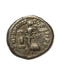 SEPTIMIO SEVERO - Denario 2