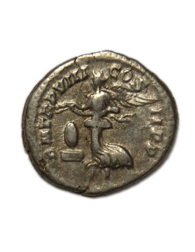 SEPTIMIO SEVERO - Denario