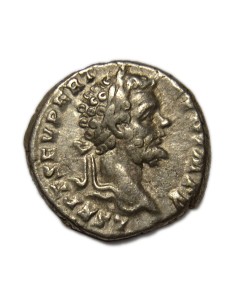 SEPTIMIO SEVERO - Denario