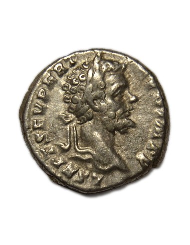 SEPTIMIO SEVERO - Denario